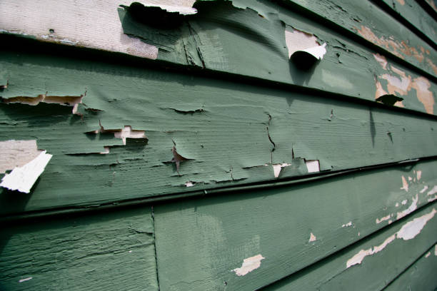 Pocono Woodland Lakes, PA Junk Removal Pros