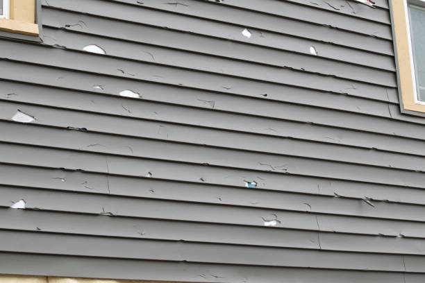 Best Shed Removal  in Pocono Woodland Lakes, PA